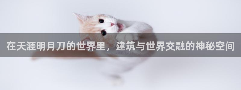 富联娱乐在线网站:在天涯明月刀的世界里,建筑与世界交融的神秘空间