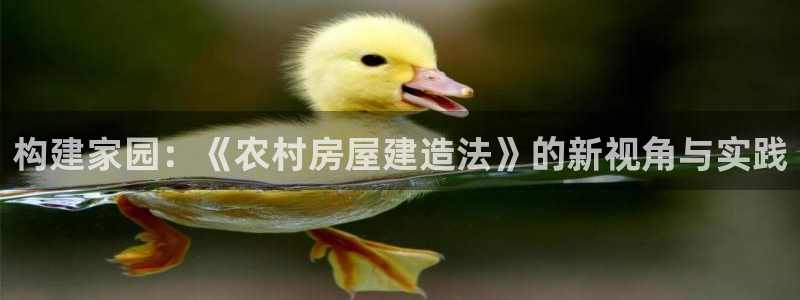 富联娱乐平台测速:构建家园:《农村房屋建造法》的新视角与实践