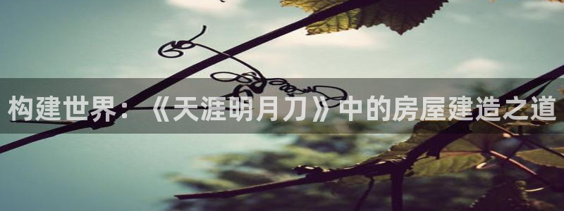 富联娱乐招商主管:构建世界:《天涯明月刀》中的房屋建造之道